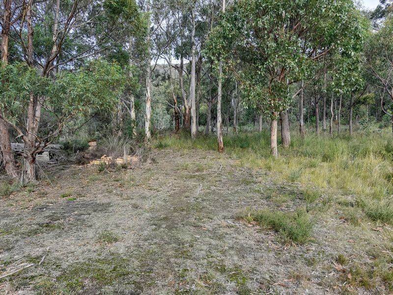 46 Ferntree Road, Eaglehawk Neck TAS 7179