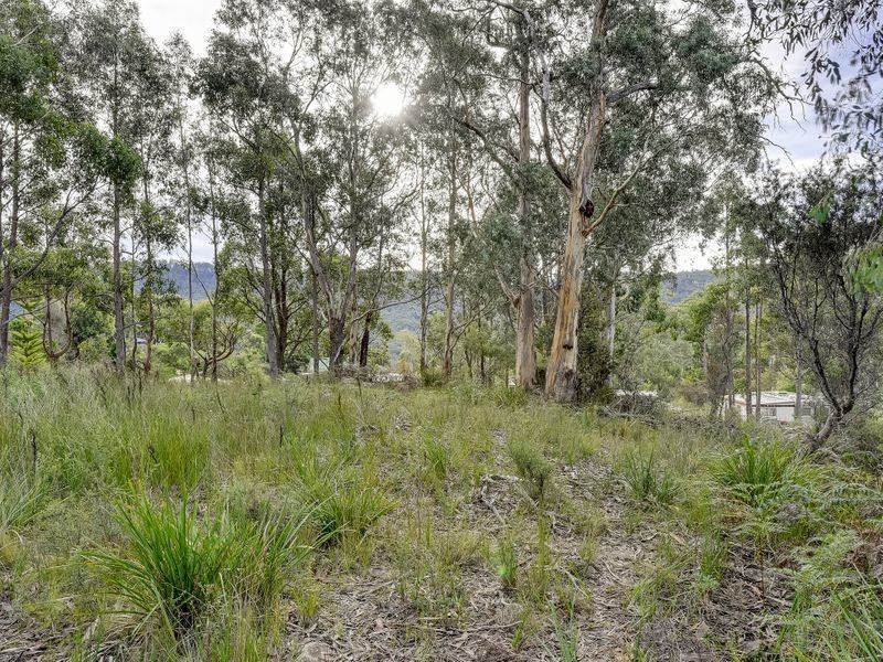46 Ferntree Road, Eaglehawk Neck TAS 7179