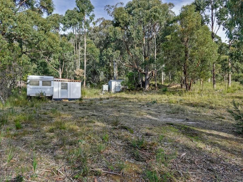 46 Ferntree Road, Eaglehawk Neck TAS 7179