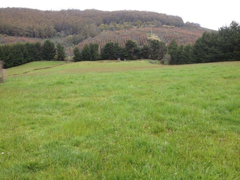 2512 Nubeena Road, Port Arthur TAS 7182