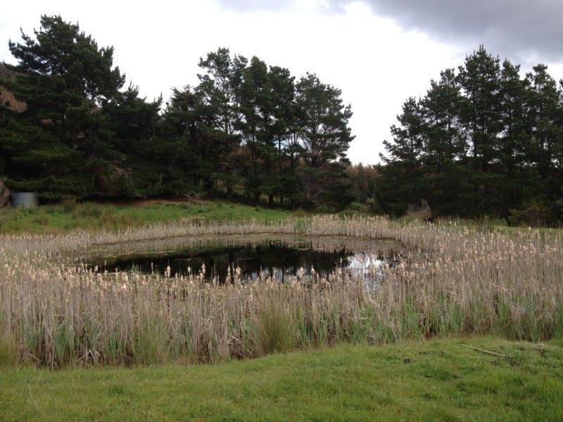 2512 Nubeena Road, Port Arthur TAS 7182