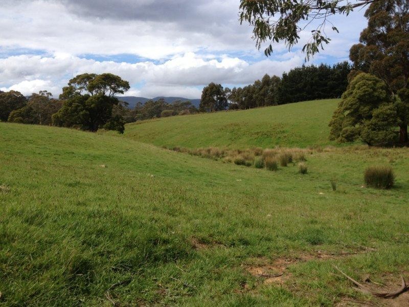 2512 Nubeena Road, Port Arthur TAS 7182