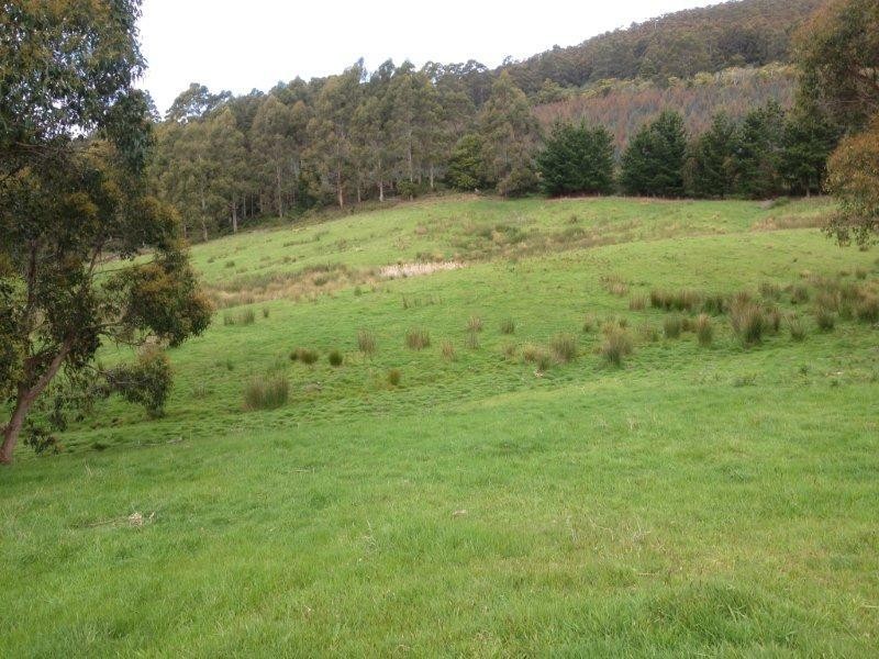 2512 Nubeena Road, Port Arthur TAS 7182