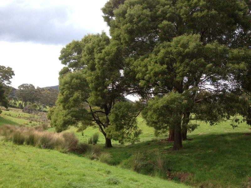 2512 Nubeena Road, Port Arthur TAS 7182