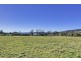 3 Annie Street, Dunalley TAS 7177