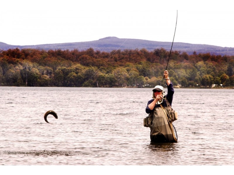 20/378 Marlborough Highway, Bronte Park TAS 7140