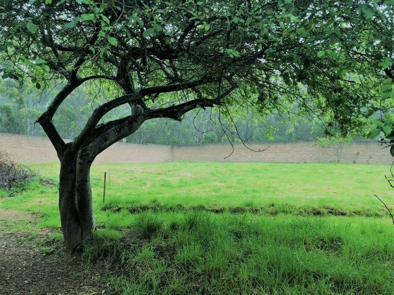 39 Nubeena Road, Taranna TAS 7180