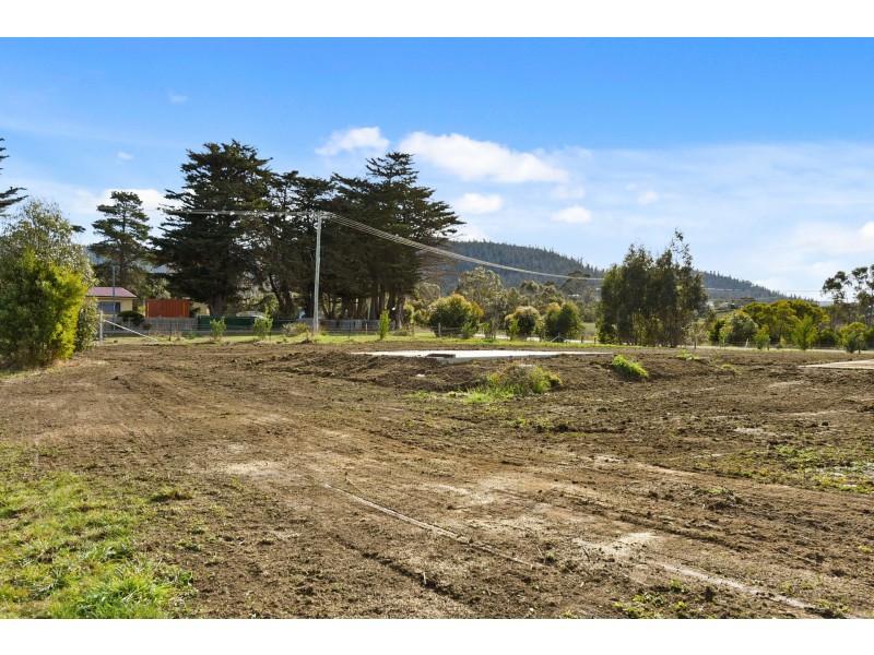1 Constance Street, Dunalley TAS 7177