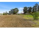1 Constance Street, Dunalley TAS 7177