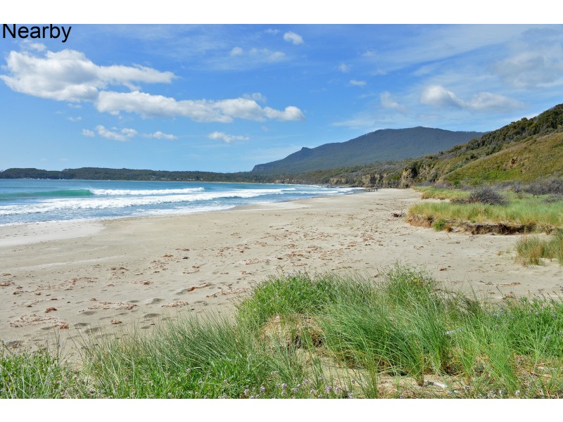 10 Penzance Road, Eaglehawk Neck TAS 7179
