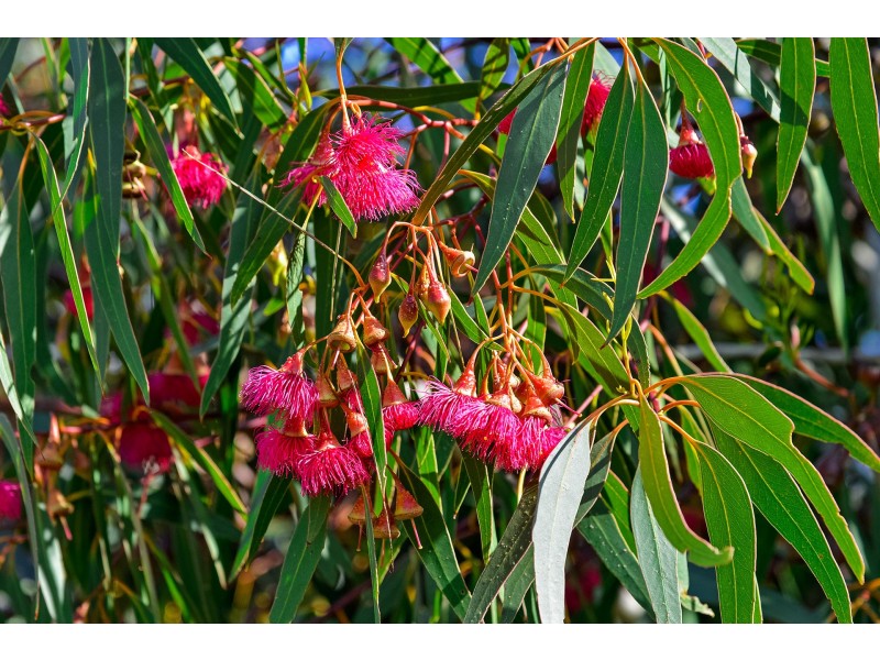 30 Ferntree Road, Eaglehawk Neck TAS 7179