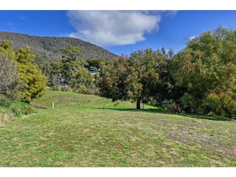 30 Ferntree Road, Eaglehawk Neck TAS 7179