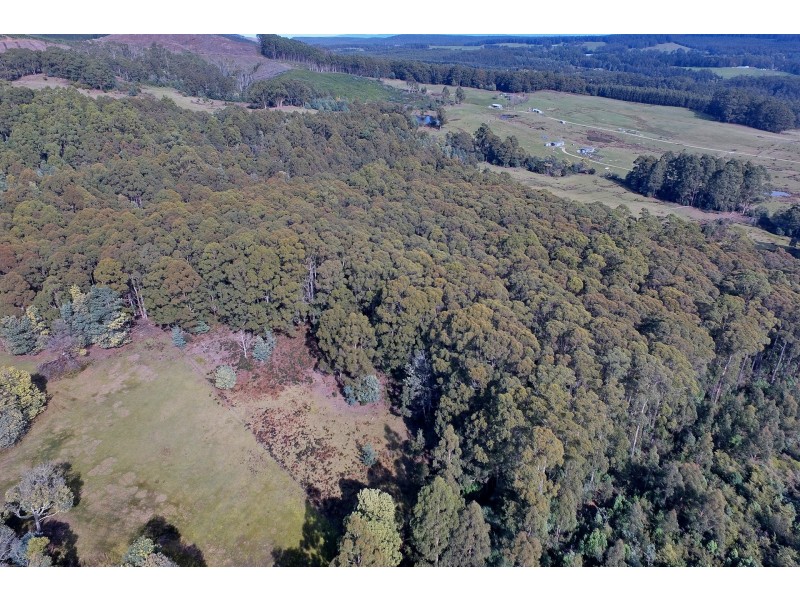 Lot 4 Radnor Road, Port Arthur TAS 7182