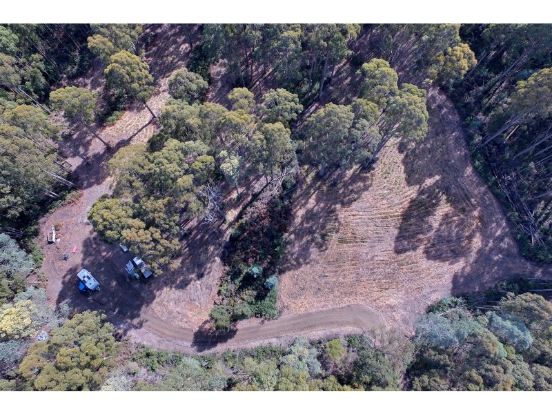 Lot 4 Radnor Road, Port Arthur TAS 7182