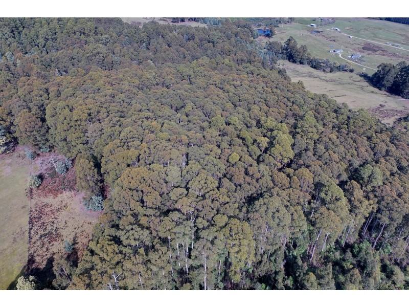 Lot 4 Radnor Road, Port Arthur TAS 7182
