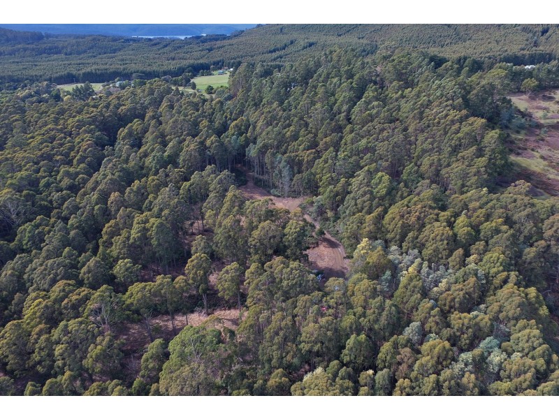 Lot 4 Radnor Road, Port Arthur TAS 7182
