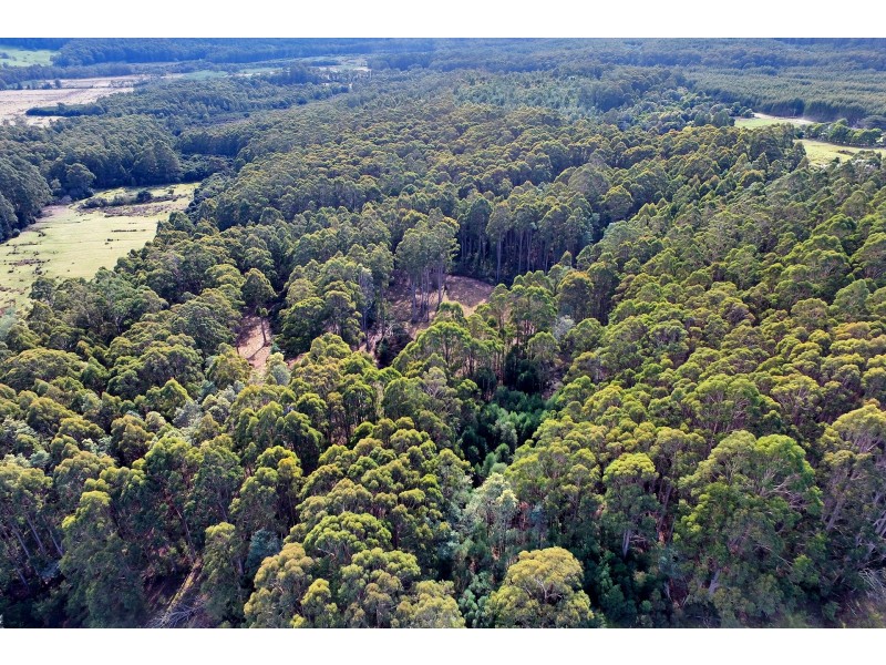 Lot 4 Radnor Road, Port Arthur TAS 7182