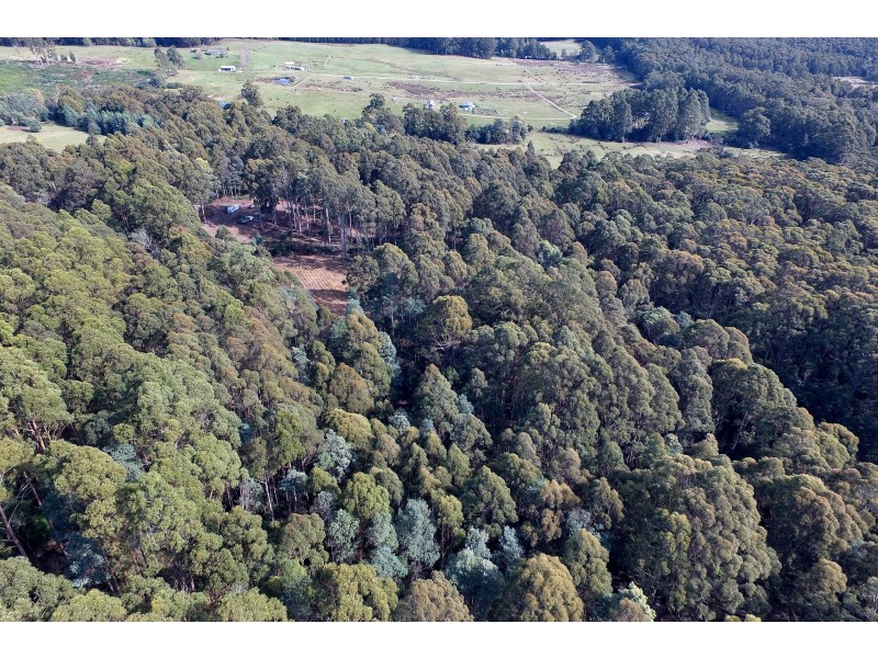 Lot 4 Radnor Road, Port Arthur TAS 7182