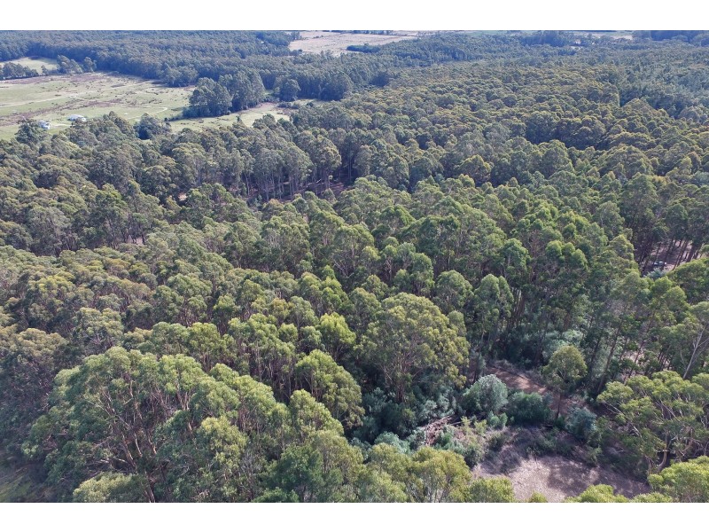 Lot 4 Radnor Road, Port Arthur TAS 7182