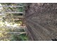 Lot 4 Radnor Road, Port Arthur TAS 7182