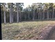 Lot 4 Radnor Road, Port Arthur TAS 7182