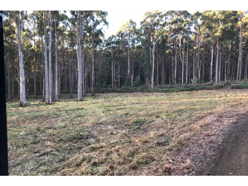 Lot 4 Radnor Road, Port Arthur TAS 7182