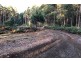 Lot 4 Radnor Road, Port Arthur TAS 7182