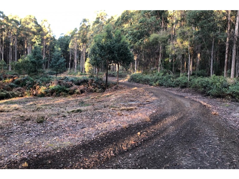 Lot 4 Radnor Road, Port Arthur TAS 7182