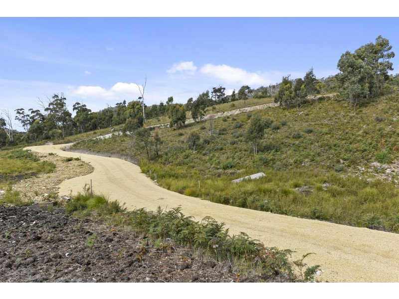 227 White Beach Road, White Beach TAS 7184