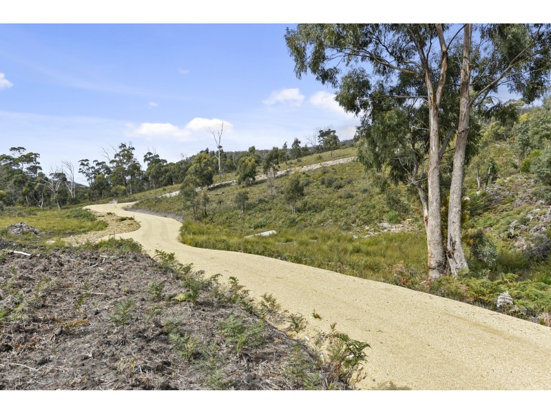 227 White Beach Road, White Beach TAS 7184