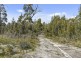 227 White Beach Road, White Beach TAS 7184
