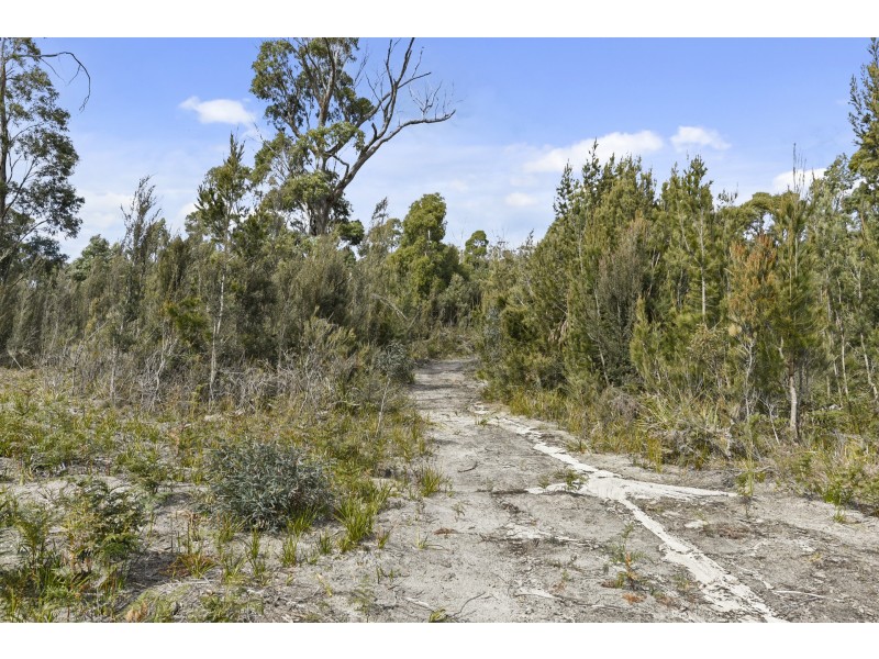 227 White Beach Road, White Beach TAS 7184