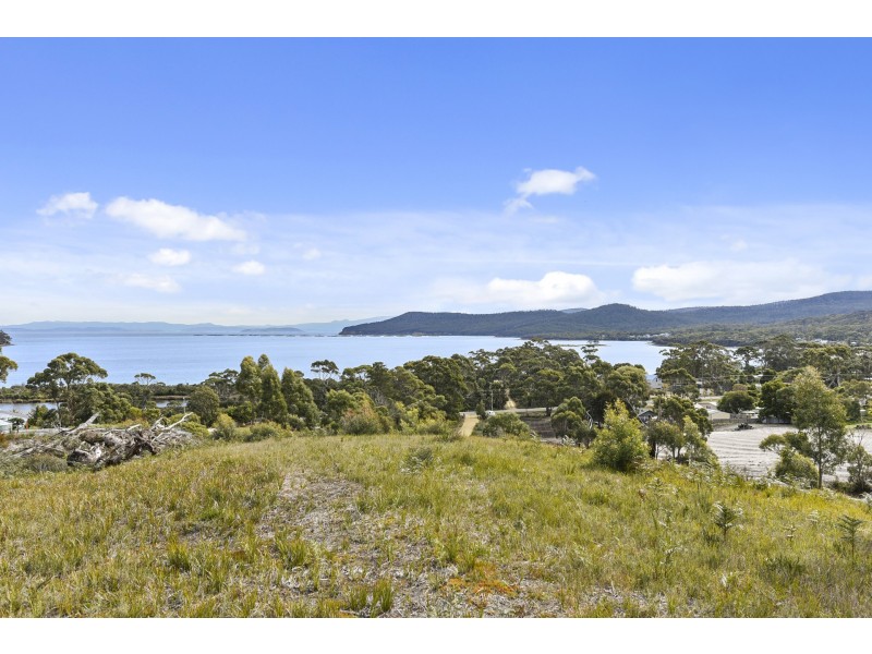 227 White Beach Road, White Beach TAS 7184