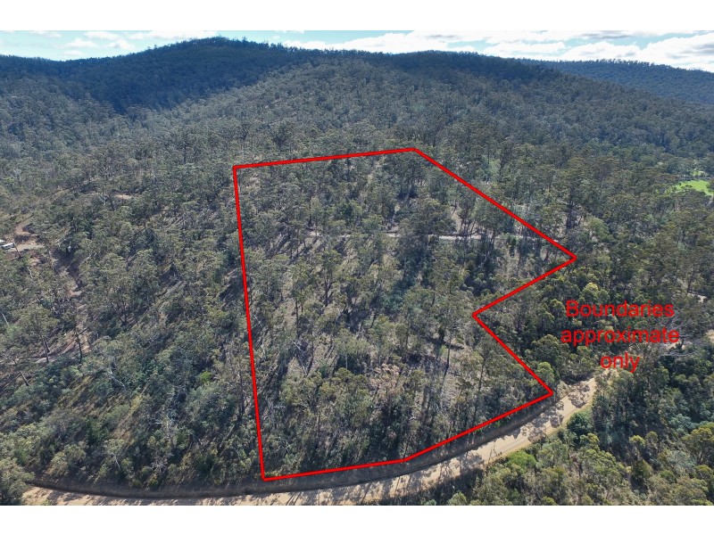 5 Nugent Road, Wattle Hill TAS 7172