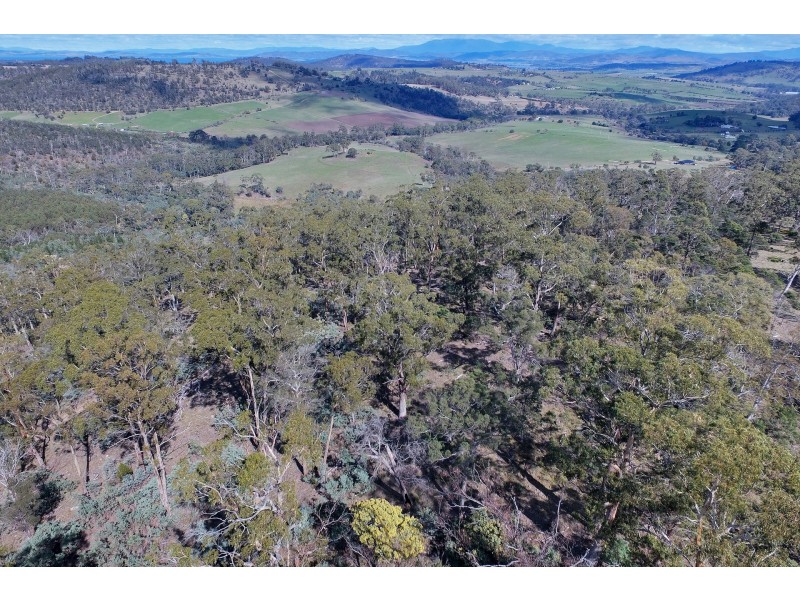 5 Nugent Road, Wattle Hill TAS 7172