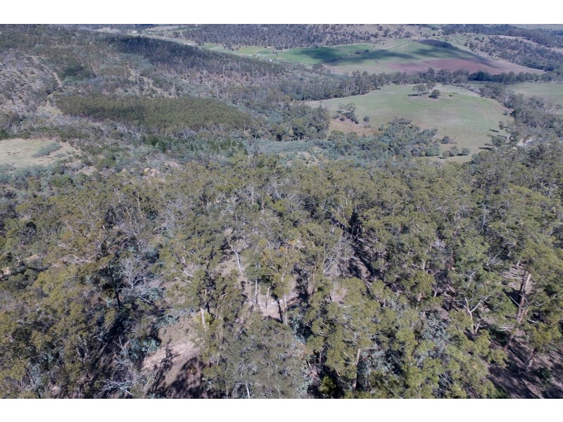 5 Nugent Road, Wattle Hill TAS 7172