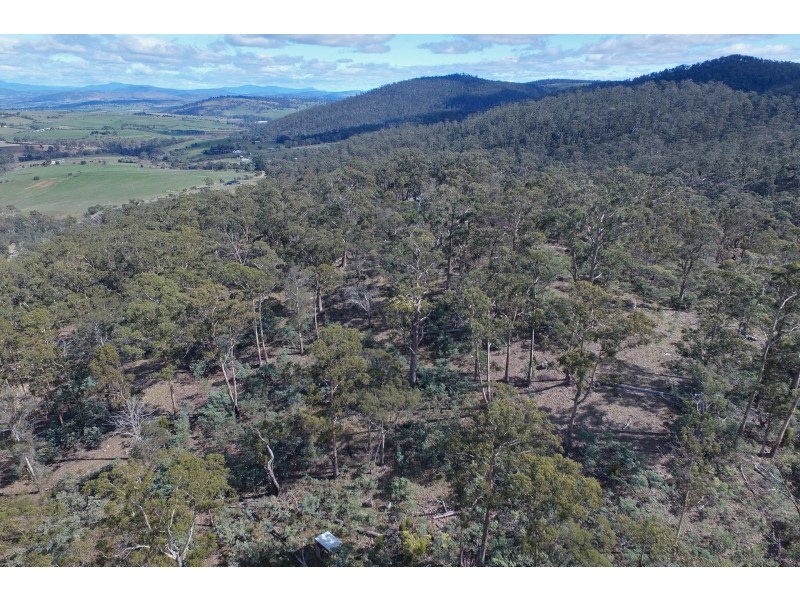 5 Nugent Road, Wattle Hill TAS 7172