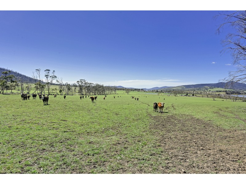 Lot 1 Fulham Road, Dunalley TAS 7177