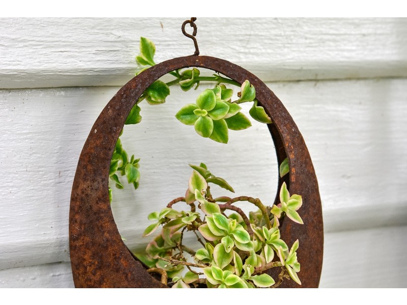 62 Robinsons Road, Highcroft TAS 7183