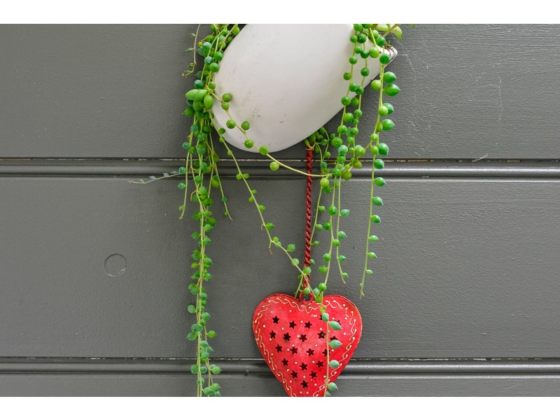 62 Robinsons Road, Highcroft TAS 7183