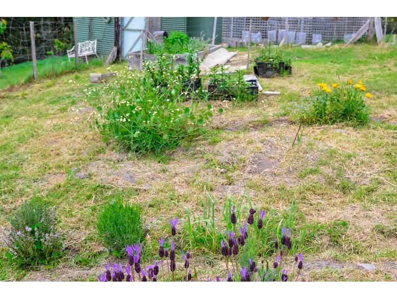 62 Robinsons Road, Highcroft TAS 7183