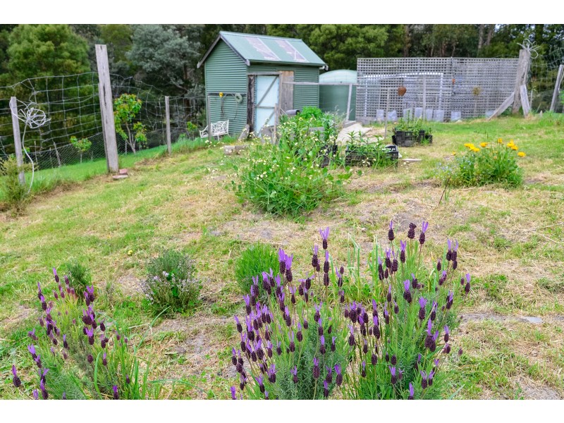 62 Robinsons Road, Highcroft TAS 7183