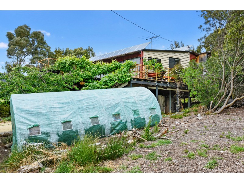 49 Mason Point Road, Eaglehawk Neck TAS 7179