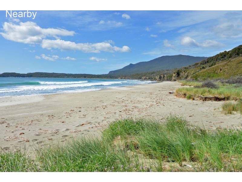49 Mason Point Road, Eaglehawk Neck TAS 7179