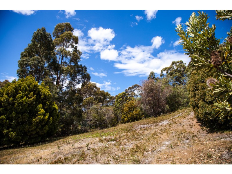 22 Havelock Road, Eaglehawk Neck TAS 7179