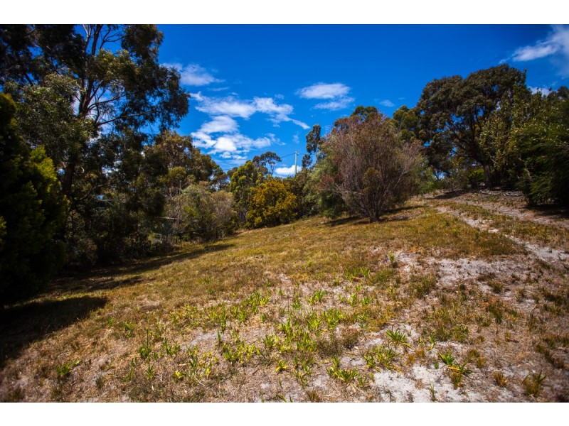 22 Havelock Road, Eaglehawk Neck TAS 7179