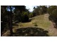 22 Havelock Road, Eaglehawk Neck TAS 7179