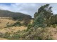 800 Stormlea Road, Highcroft TAS 7183
