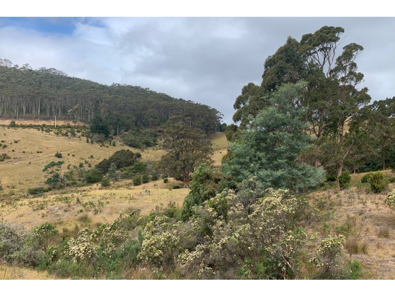 800 Stormlea Road, Highcroft TAS 7183