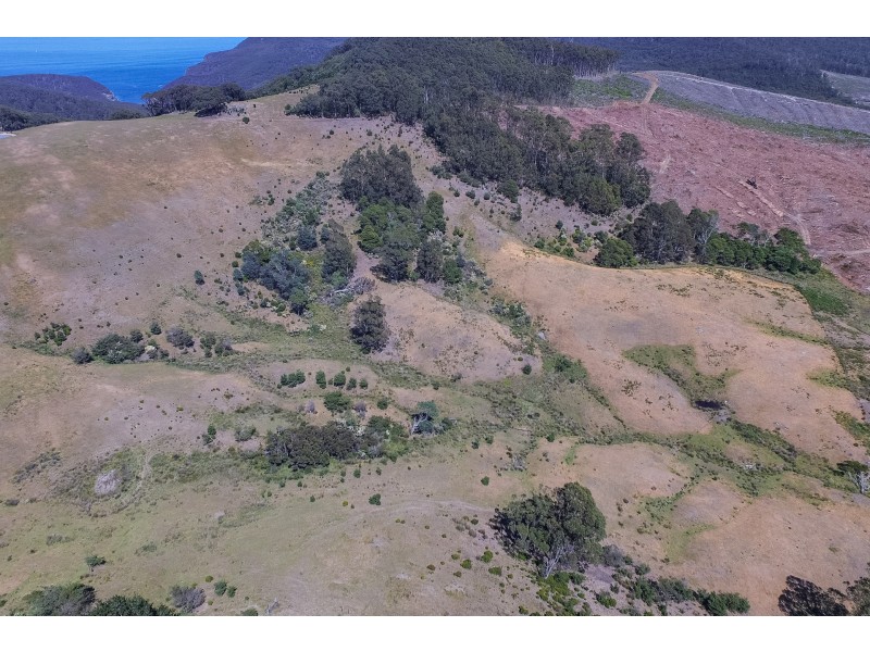 800 Stormlea Road, Highcroft TAS 7183